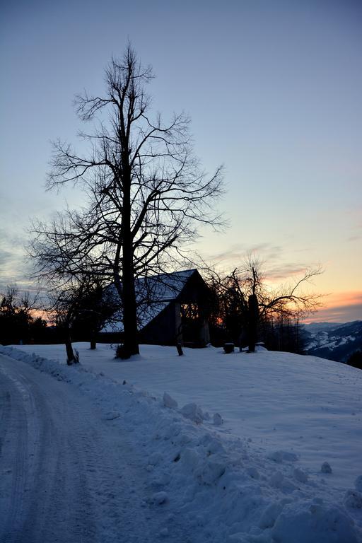 Apartments Gatej Cerkno Eksteriør billede